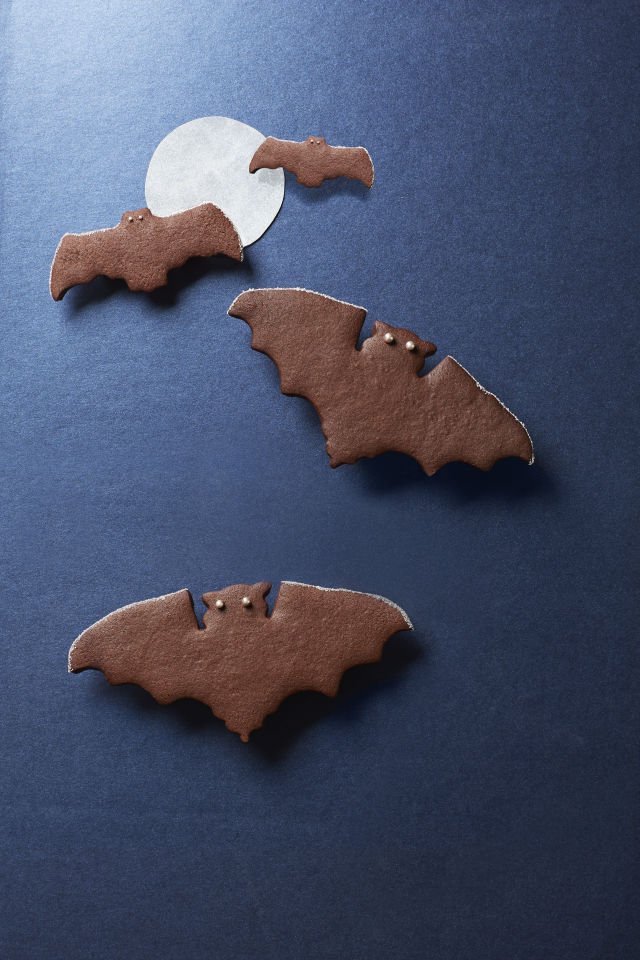 spiced bat cookies