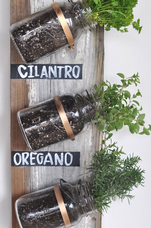 DIY Mason Jar Ideas - Herb Garden