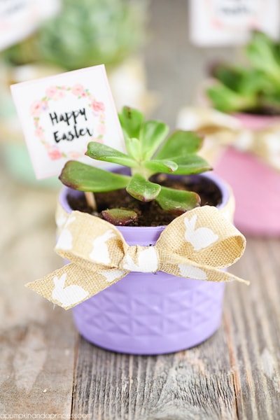 These Easter mason jar ideas are AWESOME for decorating and Easter gifts. Save it for later if you love mason jar crafts!