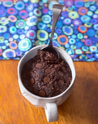 10 Keto Mug Cake Recipes - Chocolate Mug Cake