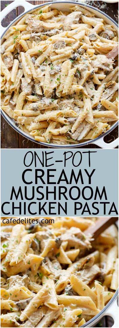 25 Pasta Recipes: One-Pot Creamy Mushroom Chicken Pasta 