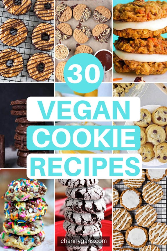 Craving a certain type of cookie but they are all non-vegan? Turns out you can totally make a vegan version of your favorite cookies! Try some of these delicious vegan cookie recipes!