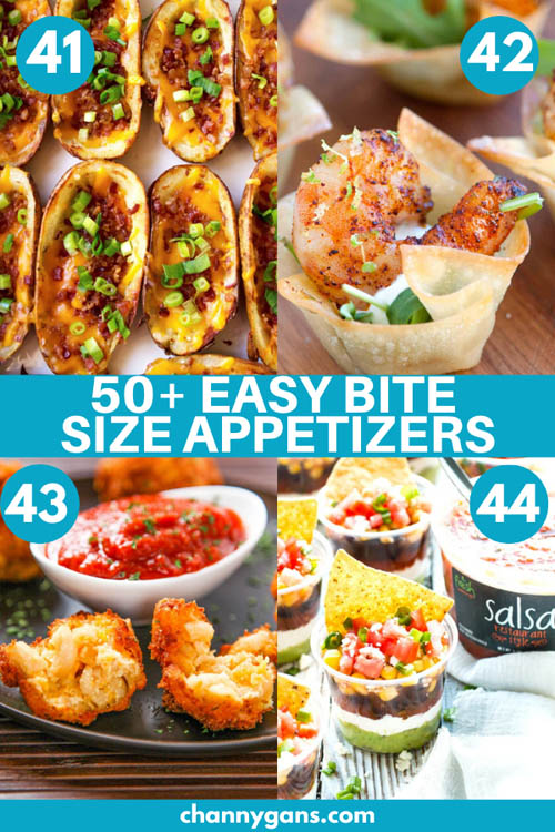 50+ Easy Bite Size Appetizers