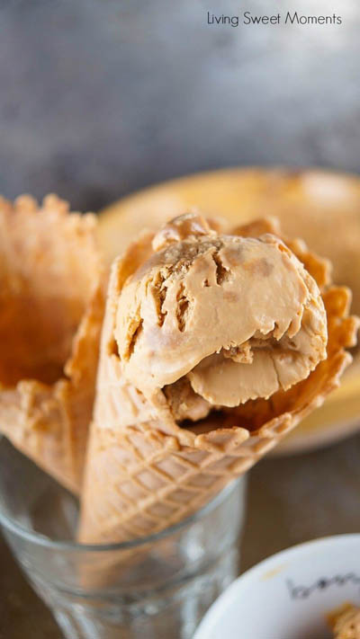 10 Easy 2 Ingredient Desserts: Dulce De Leche Ice Cream